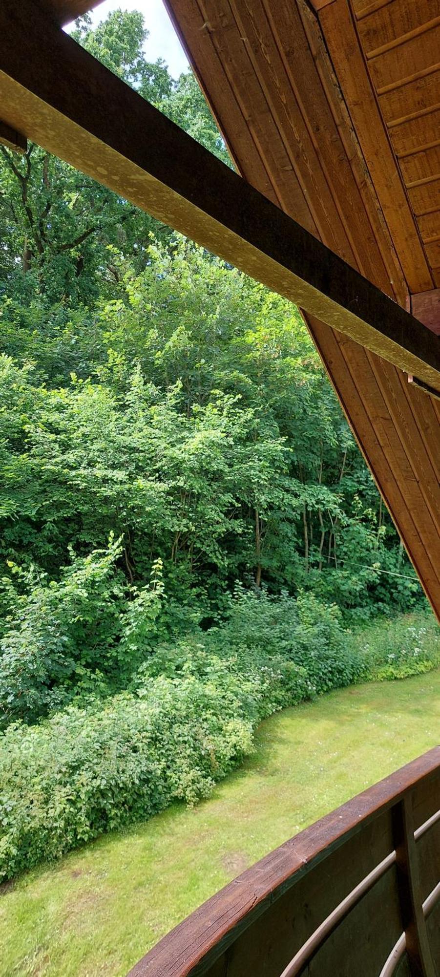 Scharbeutz Waldblick Leilighet Eksteriør bilde