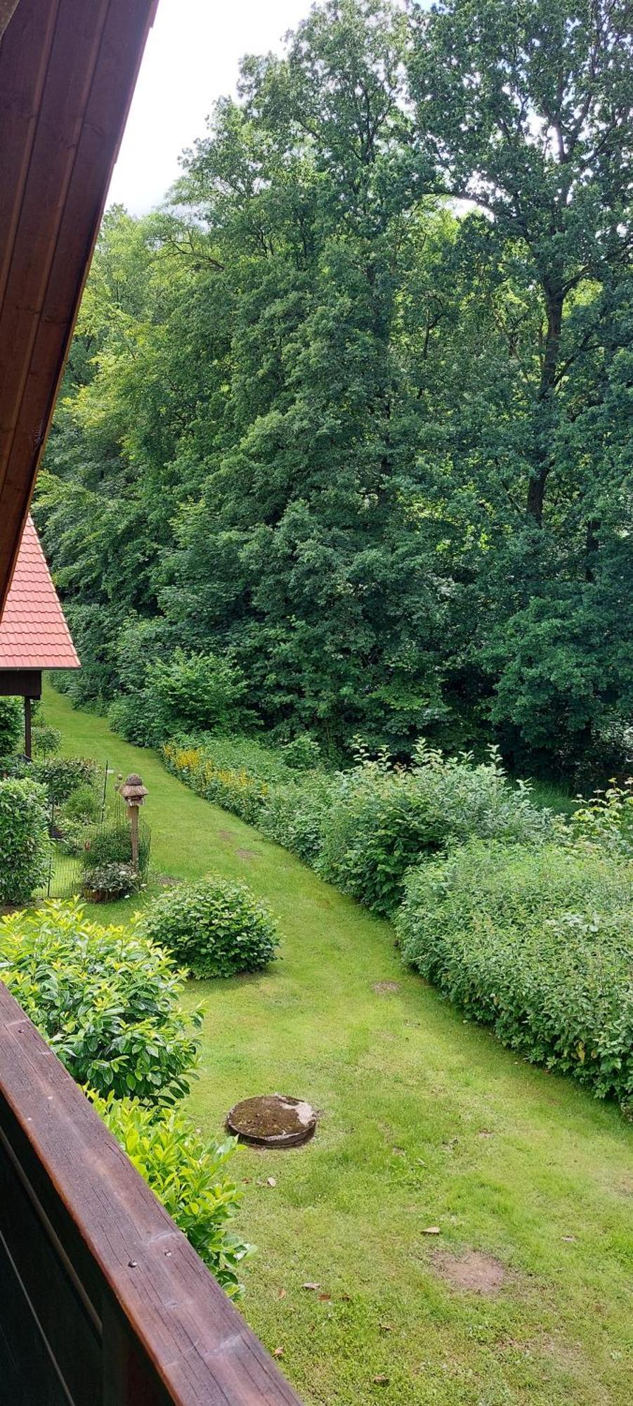 Scharbeutz Waldblick Leilighet Eksteriør bilde